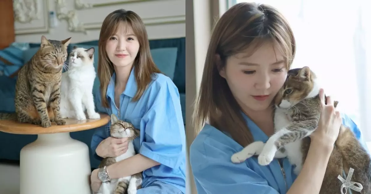 愛貓患先天性心臟病僅剩1個月命 吳若希把握時間合照留美好回憶
