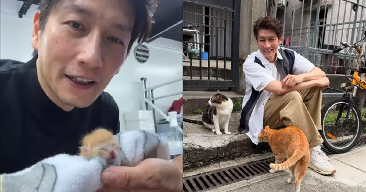 袁文傑升格「貓奴奶爸」餵貓B方法惹爭議即澄清