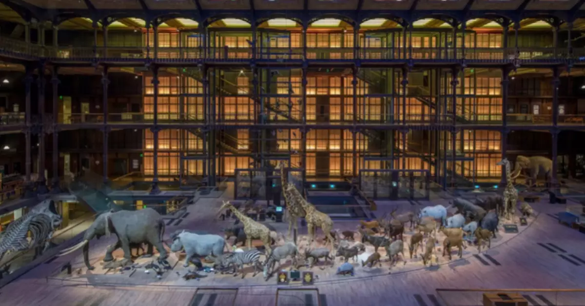 如入無人之境！法國悍匪燒穿博物館玻璃 掠走價值550萬金磚