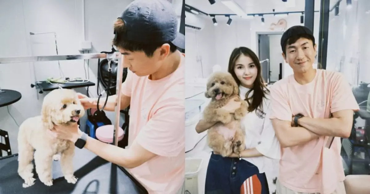 TVB上位小生馬貫東拓展寵物美容副業 「東張女神」鄧凱文愛犬變忠實粉絲