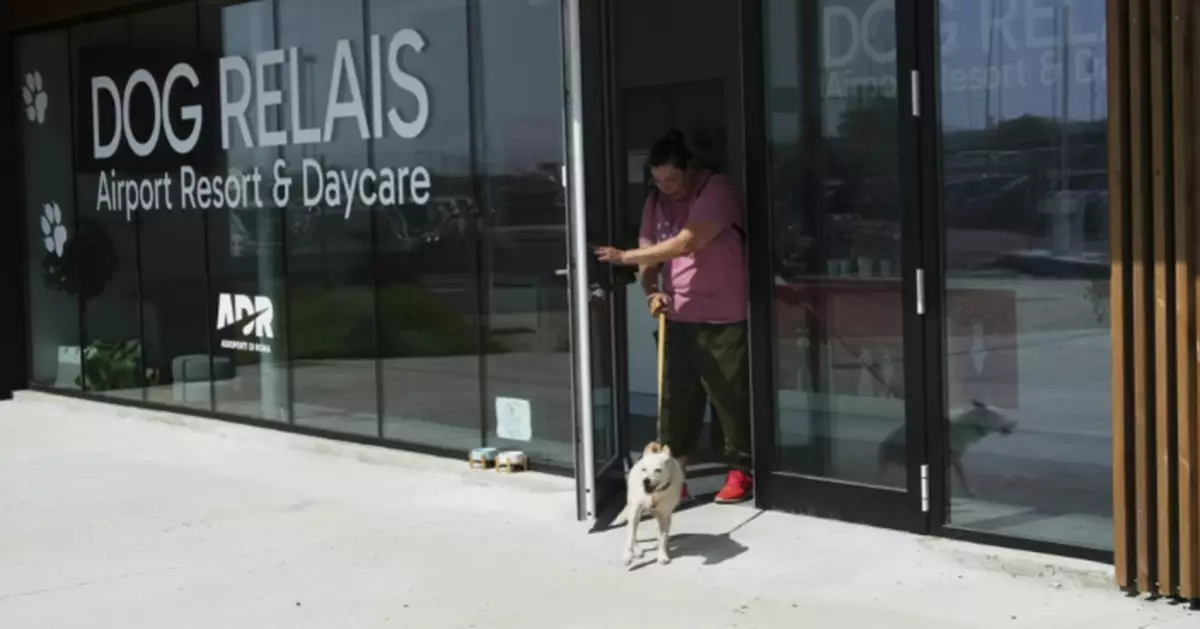 狗狗歎世界！意機場開豪華寵物酒店 獸醫駐場兼按摩一條龍服務