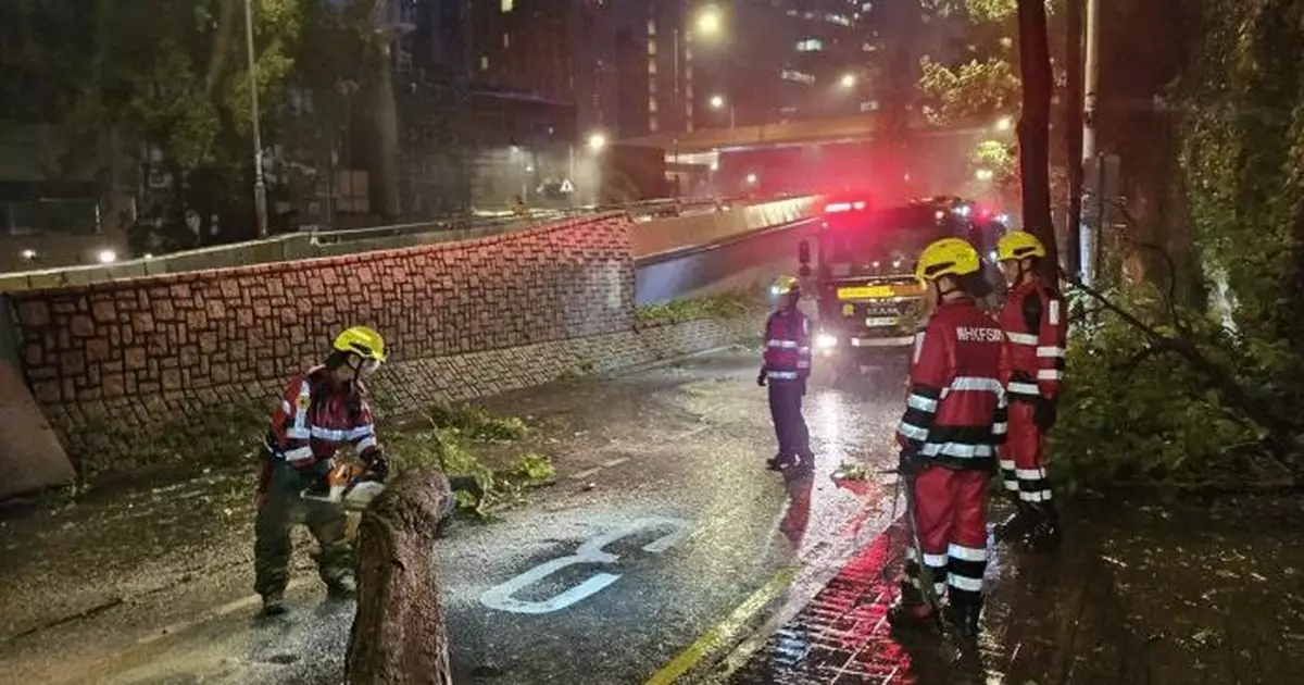 風暴樺加沙 |警方、消防、民安隊等通宵在各區協助救援被困市民及處理塌樹