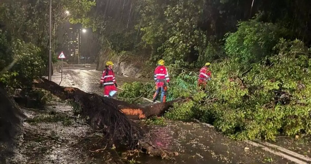 風暴樺加沙 |李家超：人員通宵工作務求大部分市民周四上班前市面恢復正常運作