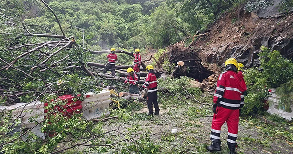 風暴樺加沙 | 風暴期間多區塌樹 消防處與運輸署及路政署制訂清理路面障礙物應變計劃