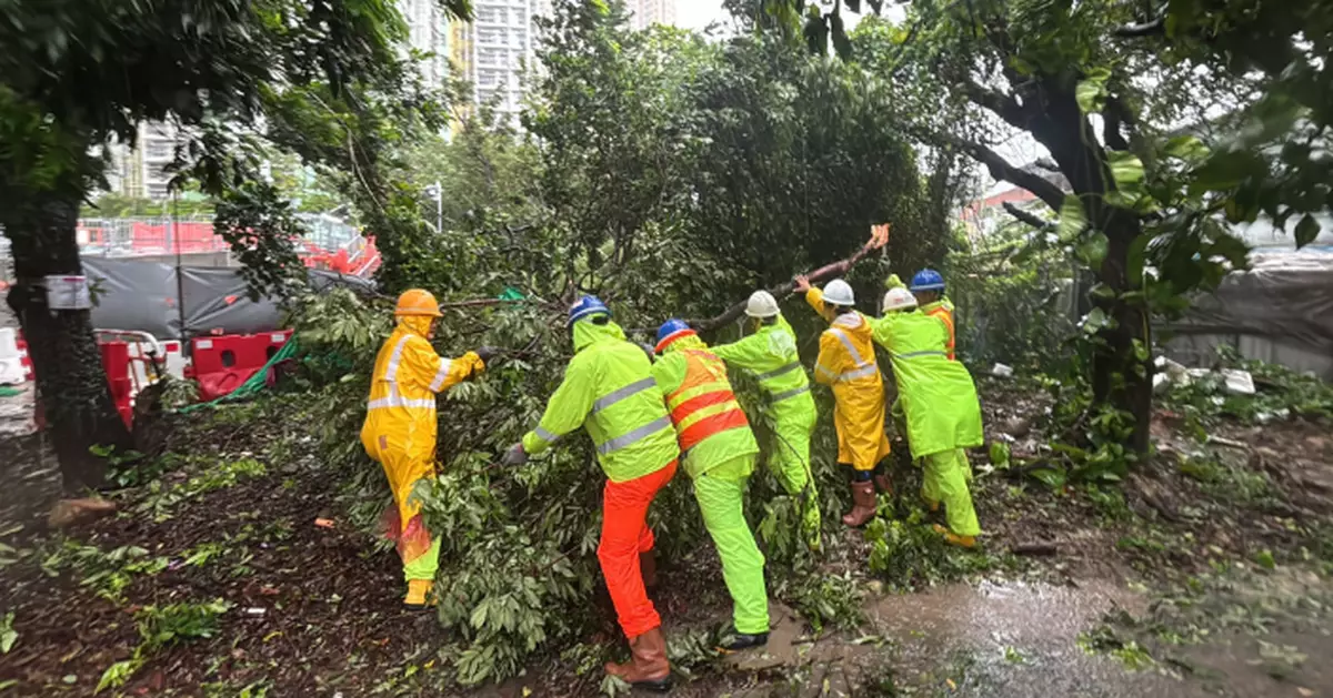 土木工程拓展署調派人手到多地清理塌樹