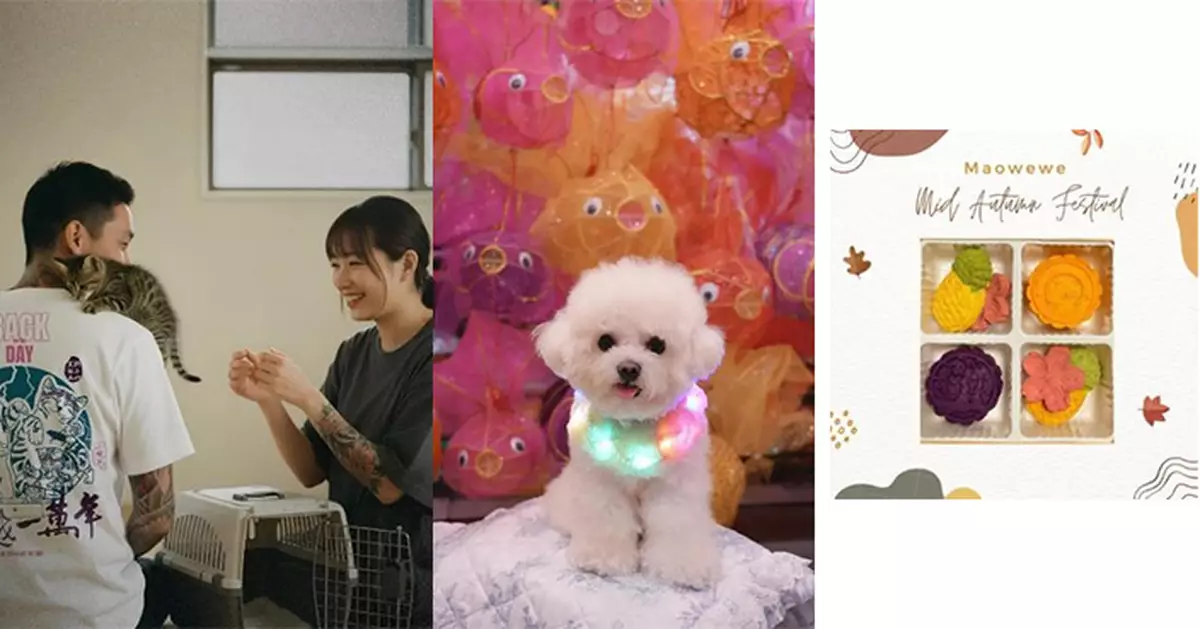 毛孩齊慶佳節！青衣城中秋Furry Market 9月26日起開鑼