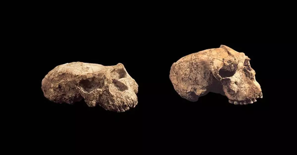 湖北出土頭骨化石 最新研究證實係百萬年龍人 改寫人類演化時間線
