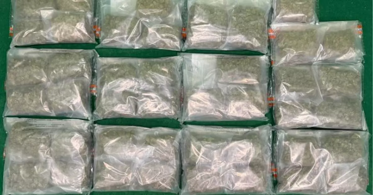 海關連續兩日機場檢共380萬元大麻花 拘兩男一女皆由曼谷抵港