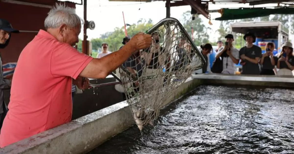 「漁＋樂」魚場計劃豐富漁業發展 准經營垂釣導賞團