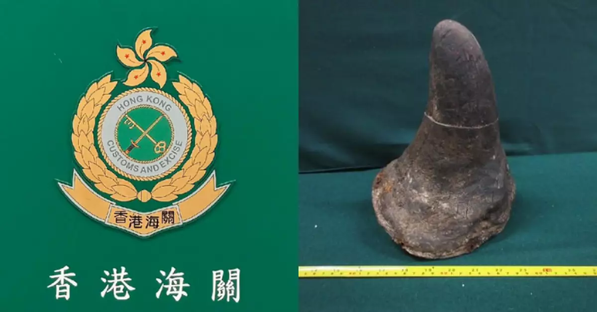 報稱陶瓷禮品空運郵內藏約值80萬元瀕危物種犀牛角 男子將被控9.30提堂