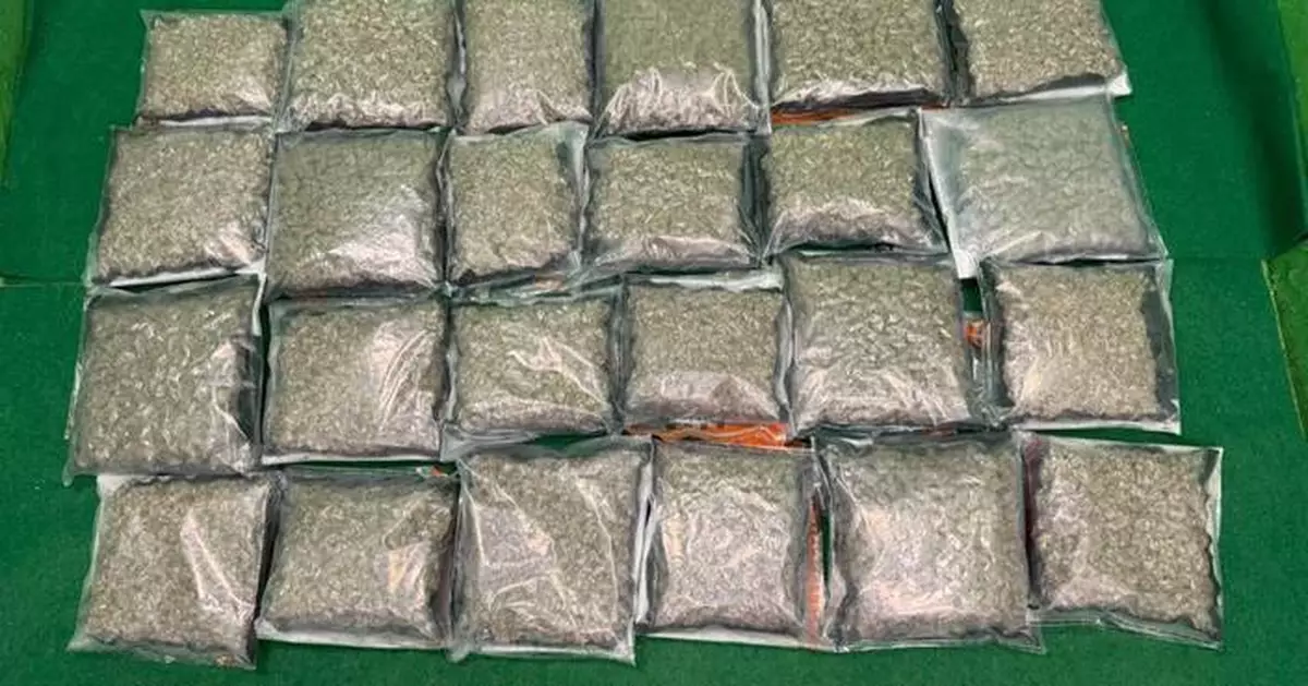 藏懷疑大麻花約值280萬元　20歲抵港旅客被控本周四提堂