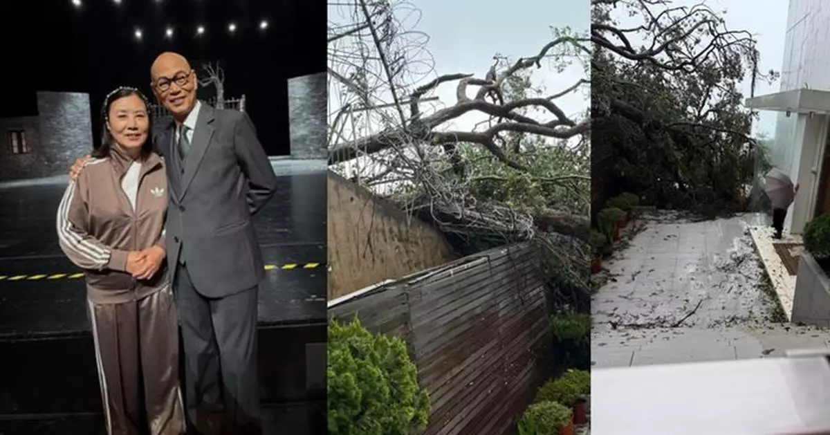 汪明荃清水灣豪宅牆外冧樹堵通道 阿姐盼順利出門拍劇