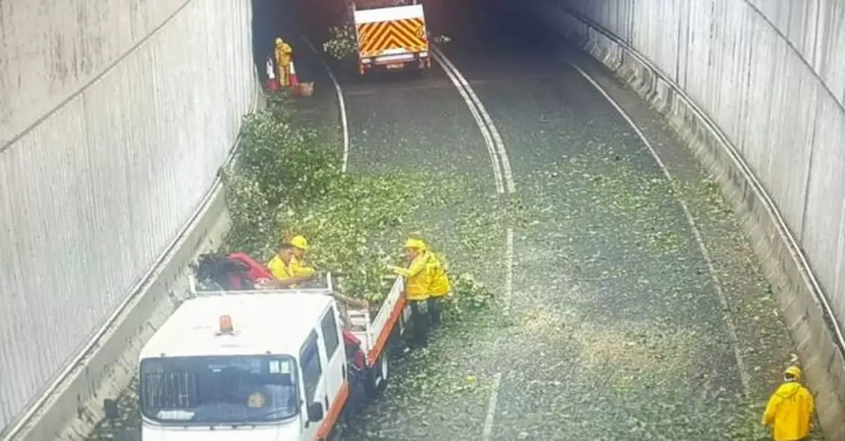 運輸署督導營辦商做好檢視　確保安全後陸續恢復鐵路及巴士服務