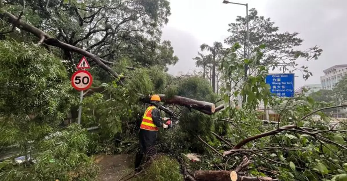 1620宗道路事故報告包括逾千宗塌樹　19宗水浸個案