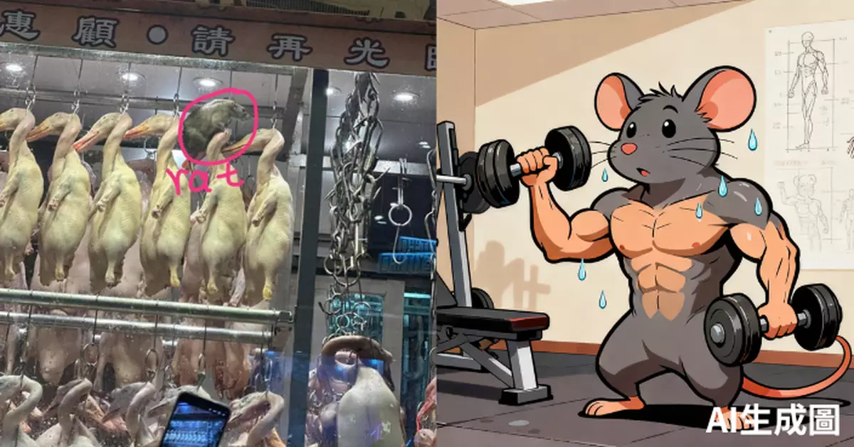 燒味店驚現「爆肌巨鼠」爬鴨頭 網民嘆「好生猛」戲稱：鼠鵝雙拼收貴啲