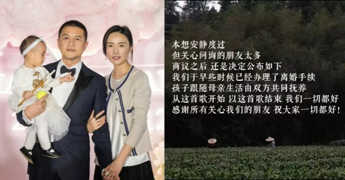 王菲前夫李亞鵬二度離婚 與細19歲嫩妻海哈金喜三年婚姻告終