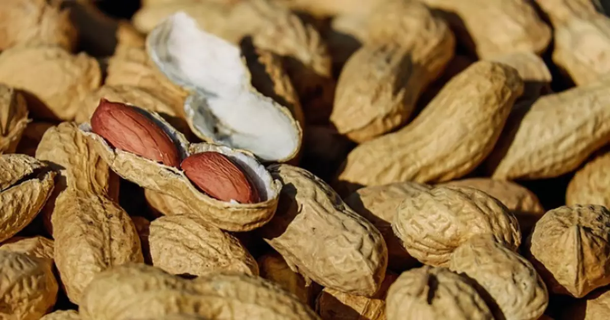花生獲稱「長壽果」適量攝取助改善血管功能 營養師教4健康食法