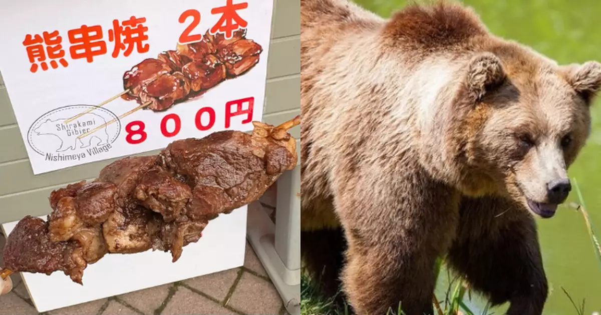 日本熊害頻繁地區出售「熊肉串燒」 試食者大讚肉質鮮嫩無腥味