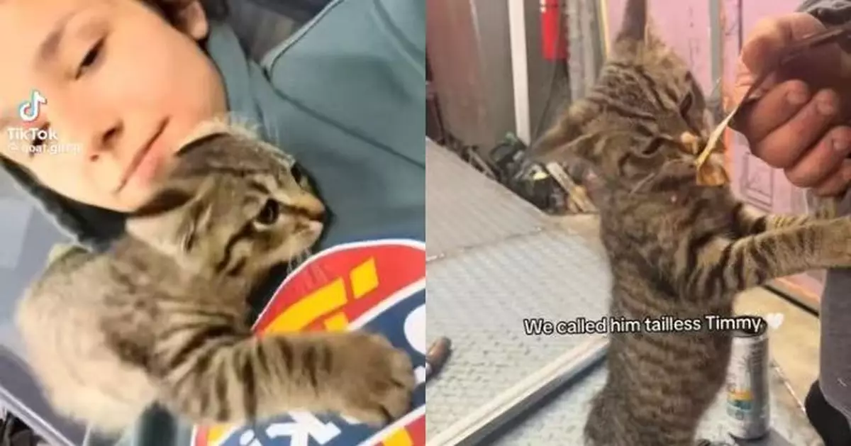 路邊執流浪小貓回家飼養 美國女驚覺成長速度驚人疑真身係……