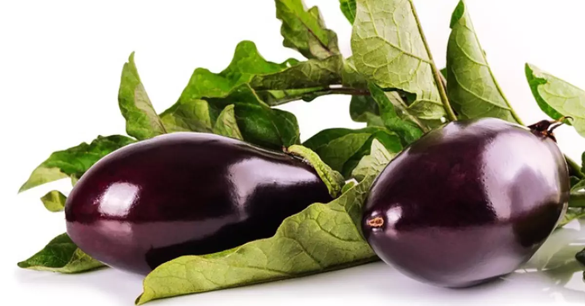 茄子被稱「吸油大戶」？專家揭：掌握少油烹調法即可輕鬆控脂又飽肚