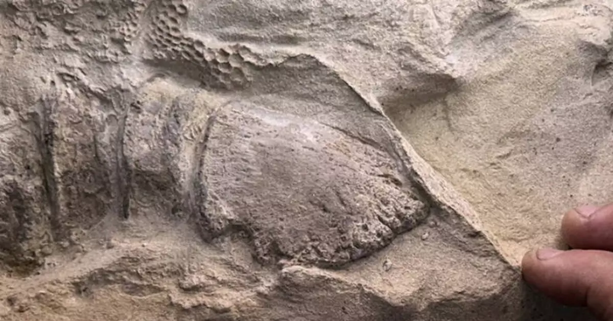 恐龍竟長「蹄」？科學家還原6600萬年前「鴨嘴龍」真貌顛覆固有形象