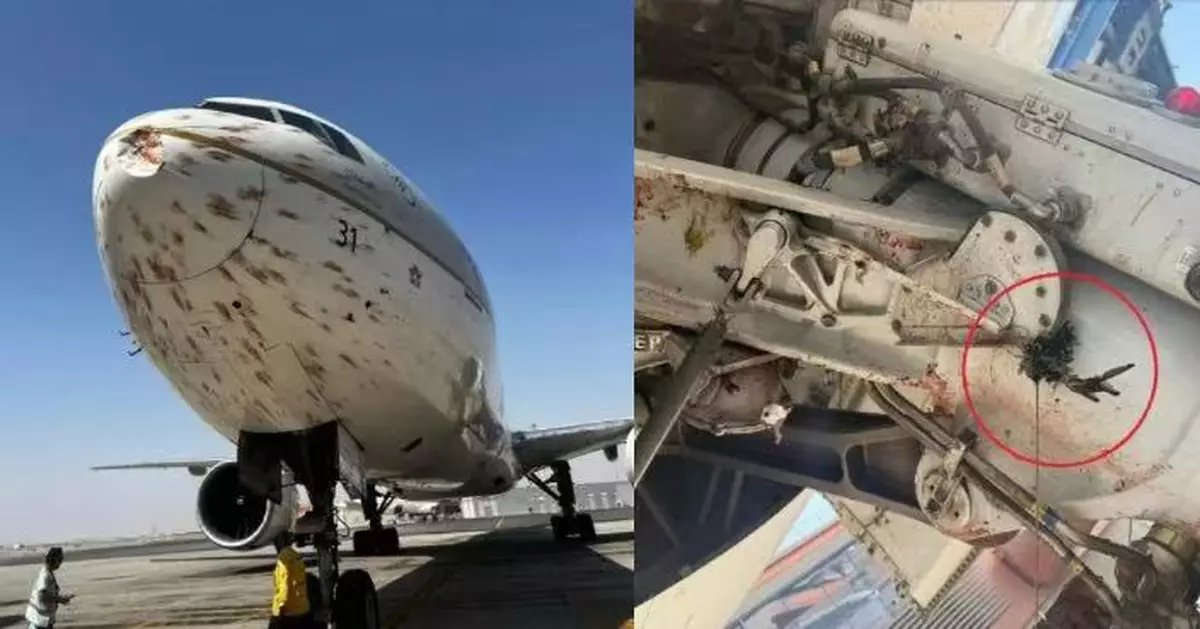 沙特航空波音客機起飛撞候鳥 機身佈滿血跡機鼻凹陷幸安全降落