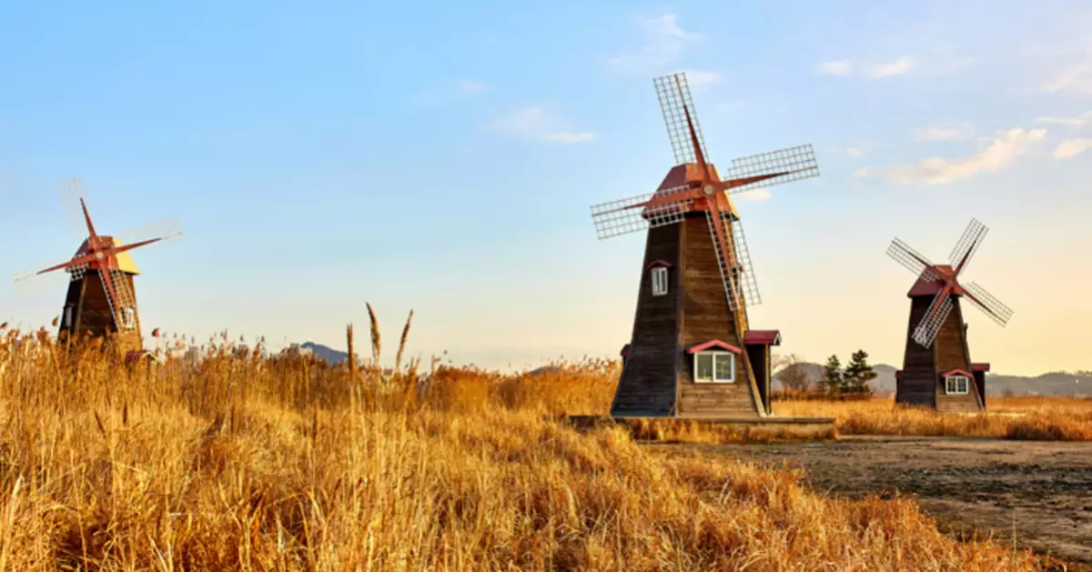 荷蘭「風車村」爆滿！遊客自拍杆窺探民居 明年收159蚊門票控人流