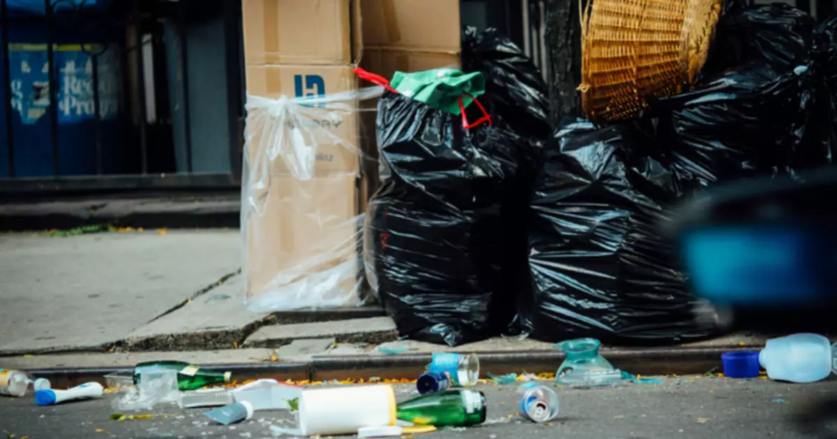 巴黎奇觀！副區長「孖」住老鼠仔巡街稱：牠是清道夫