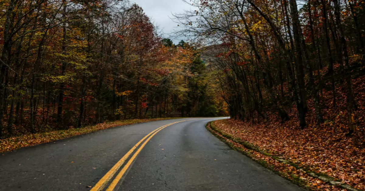 落葉雖浪漫 開車最危險 美數據揭39州秋季車禍飆升