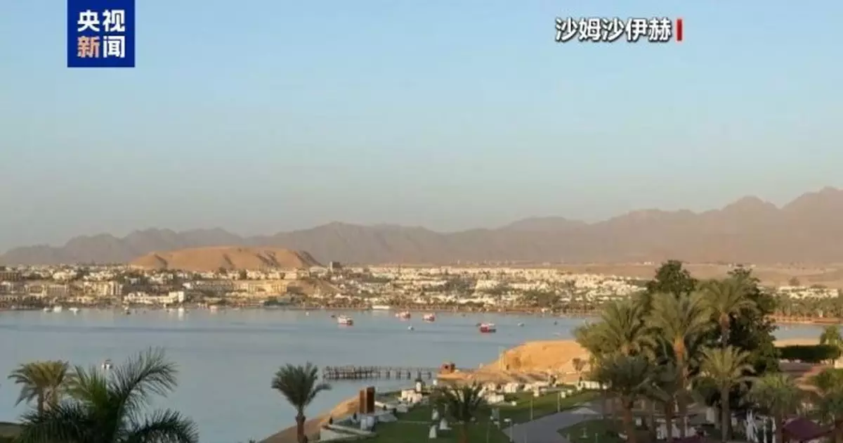 以色列哈馬斯埃及會談　討論加沙停火協議及交換被扣押人員