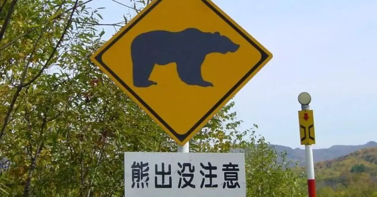 日本秋田縣兩人先後遭熊襲擊受傷