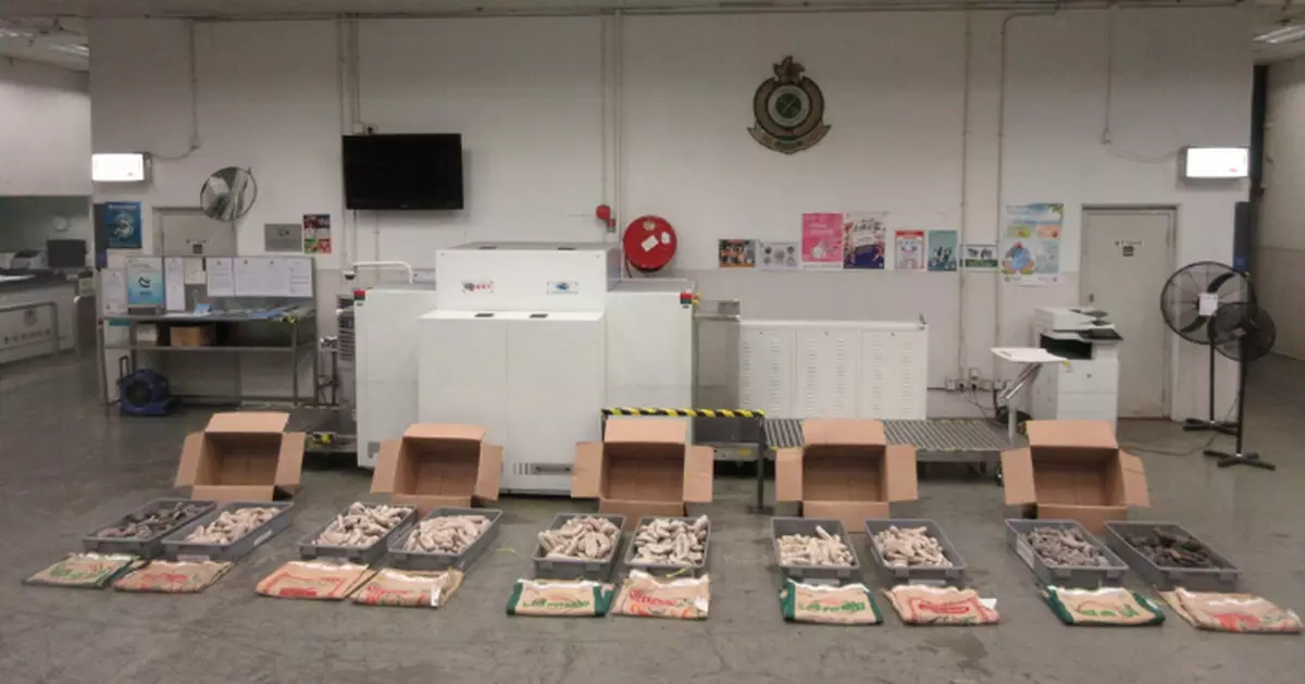海關偵破走私受管制瀕危物種案檢值52萬元海參 收貨人被捕