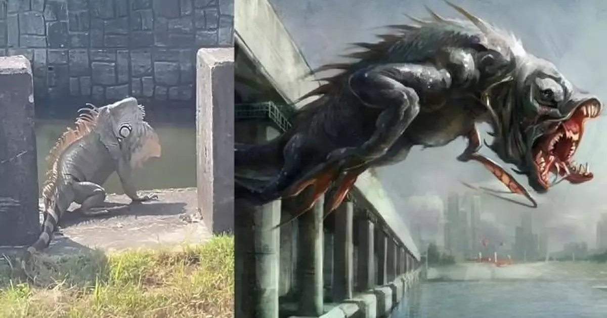 似哥斯拉咁大！台南排水溝現「巨綠鬣蜥」　網民驚呼：被輻射照到？