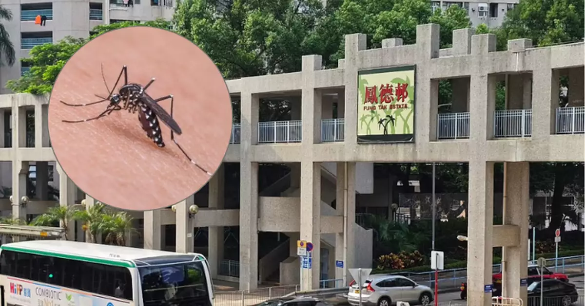 基孔肯雅熱｜鳳德邨6700居民評估34人現輕微病徵　未發現感染基孔肯雅熱