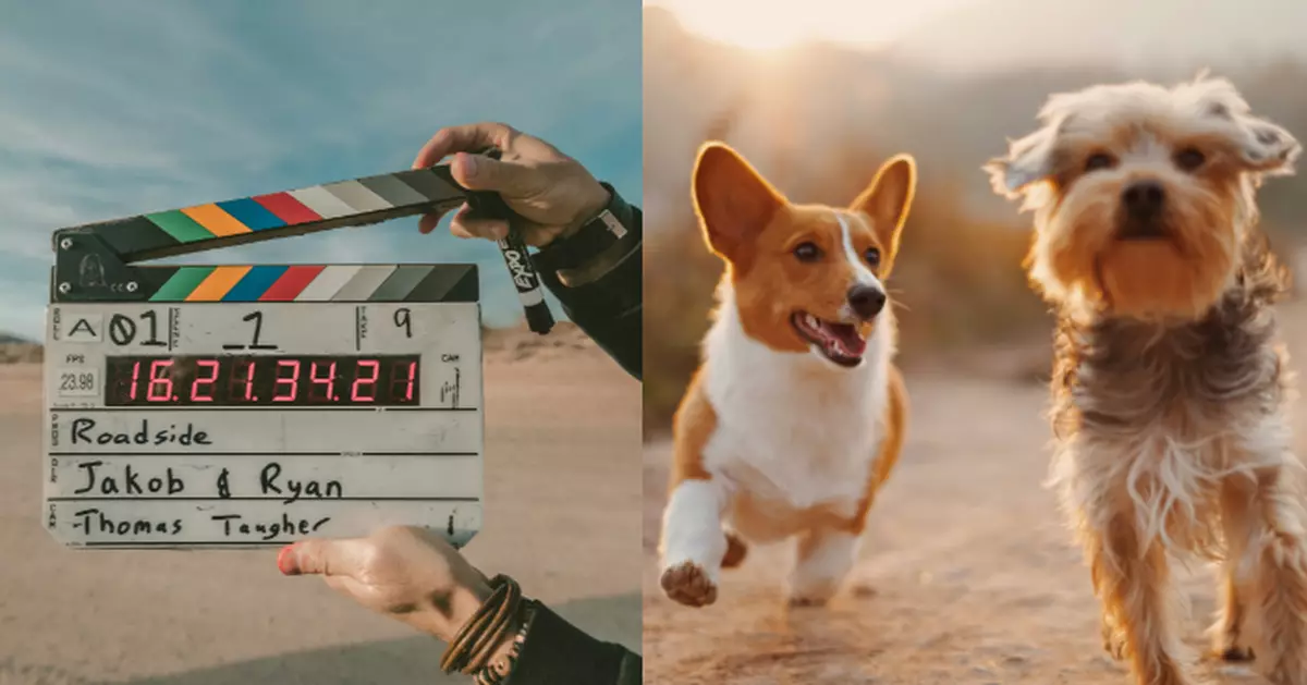 AI搶飯碗！荷里活動物演員冇得撈 訓練師憂失業