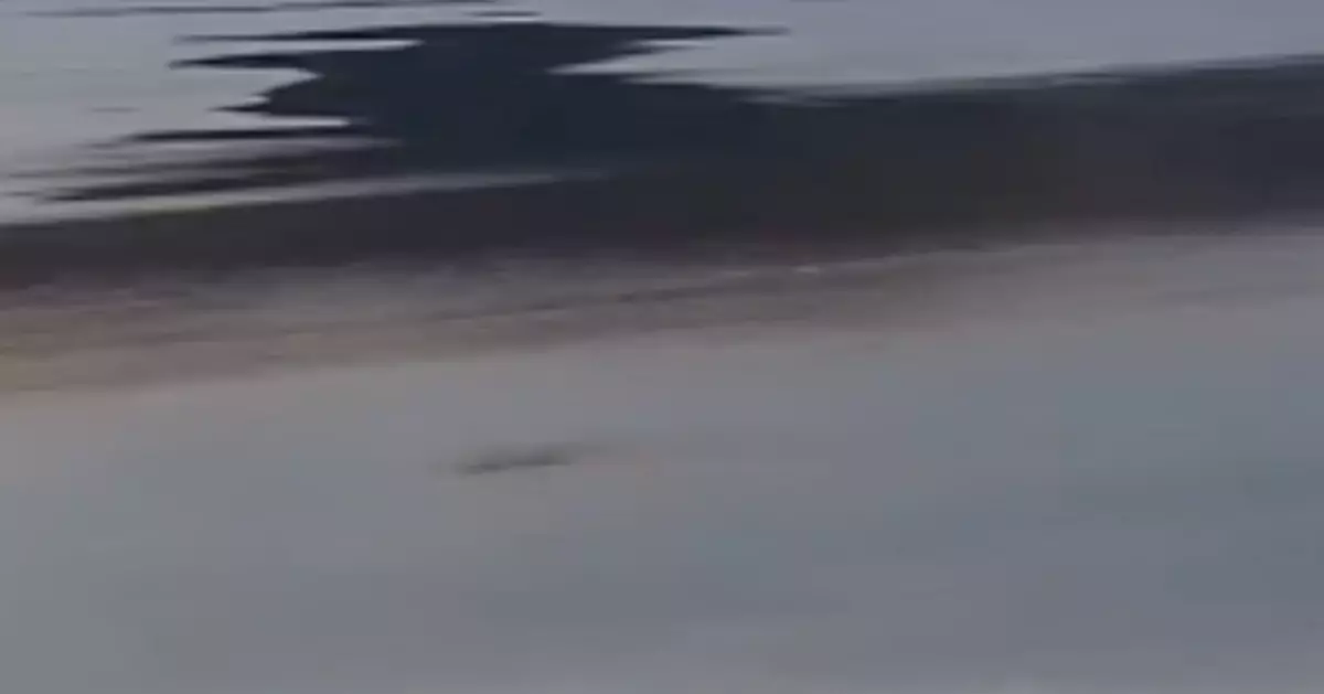 尼斯湖水怪傳說再起？ 愛爾蘭獵人攝5米黑影掀全球熱議​