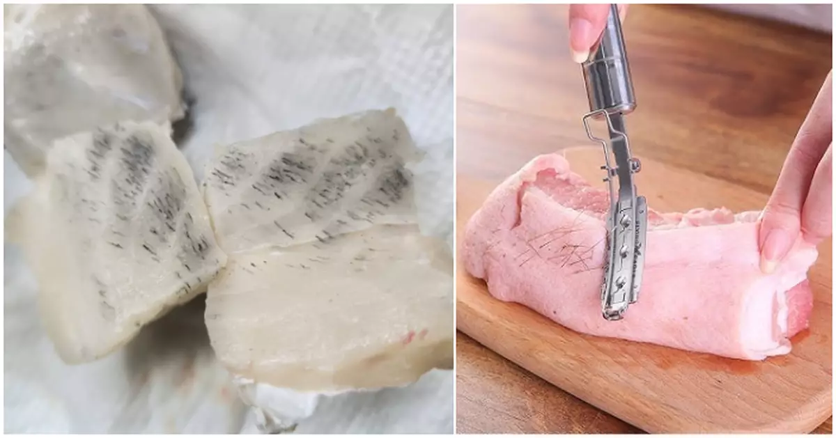 網民買石斑驚見黑毛勁似「黑毛魚」 網民熱議黑色物質來源