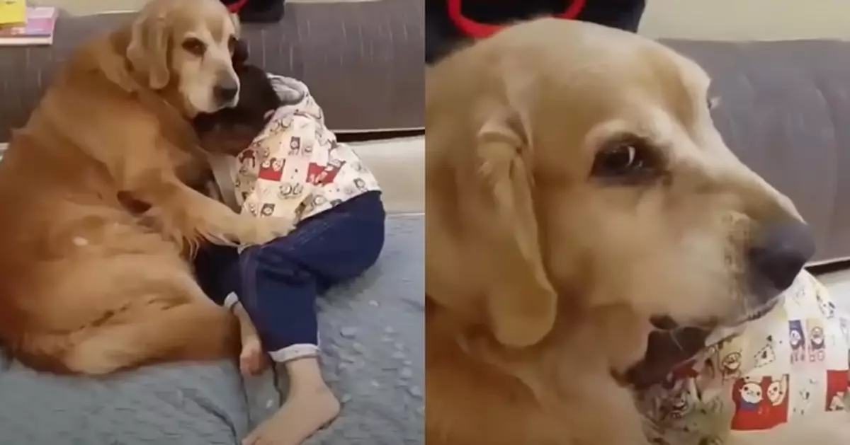 女童被媽媽鬧搵愛犬「圍爐取暖」狗狗狠瞪飼主：你欺負她？