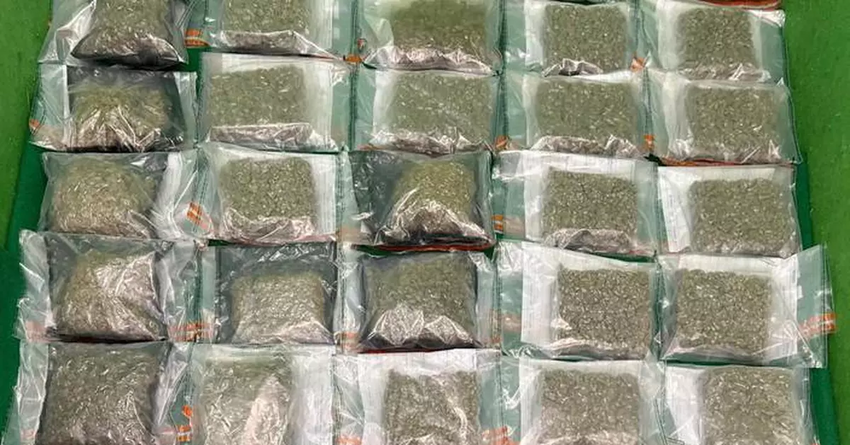 海關機場偵破兩宗行李藏毒案 檢值520萬元大麻花拘兩曼谷抵港女子