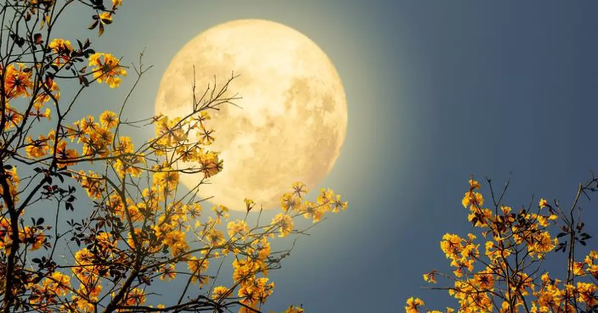 十五月亮十六圓！專家推薦中秋最佳賞月時機 有望見到「超級月亮」