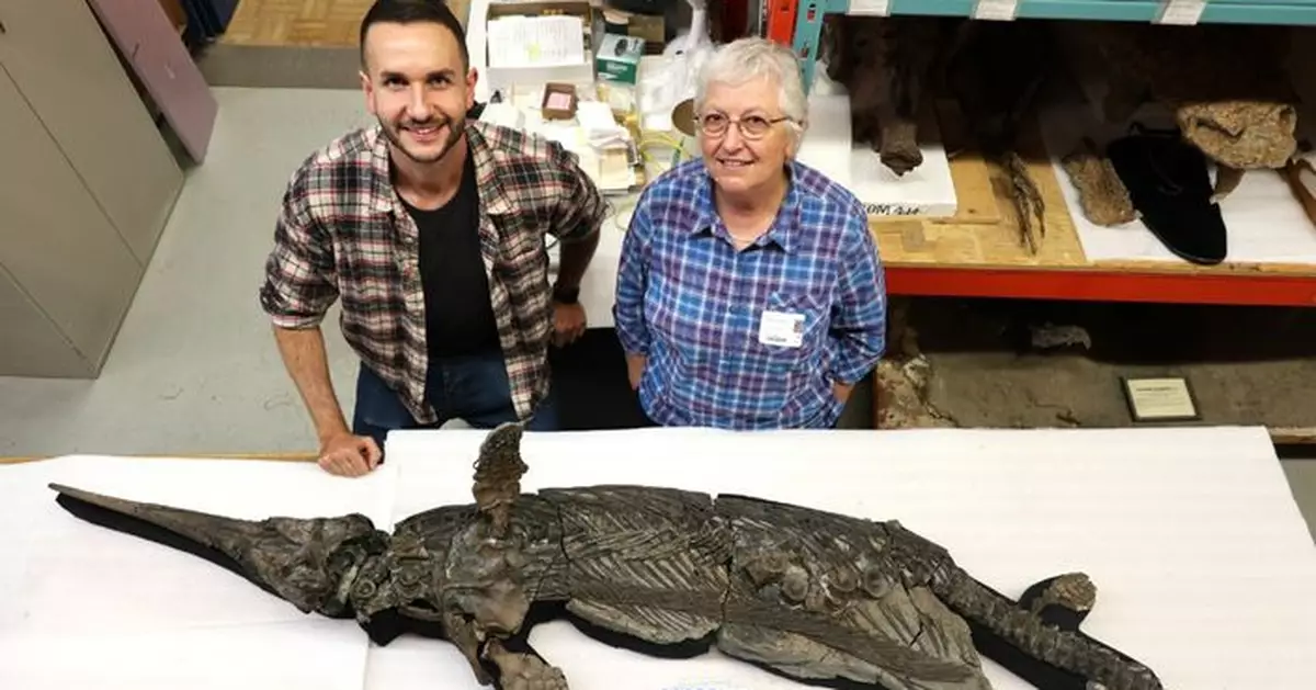 英侏羅紀海岸出土1.9億年前完整魚龍化石 獲認證填補演化史空白