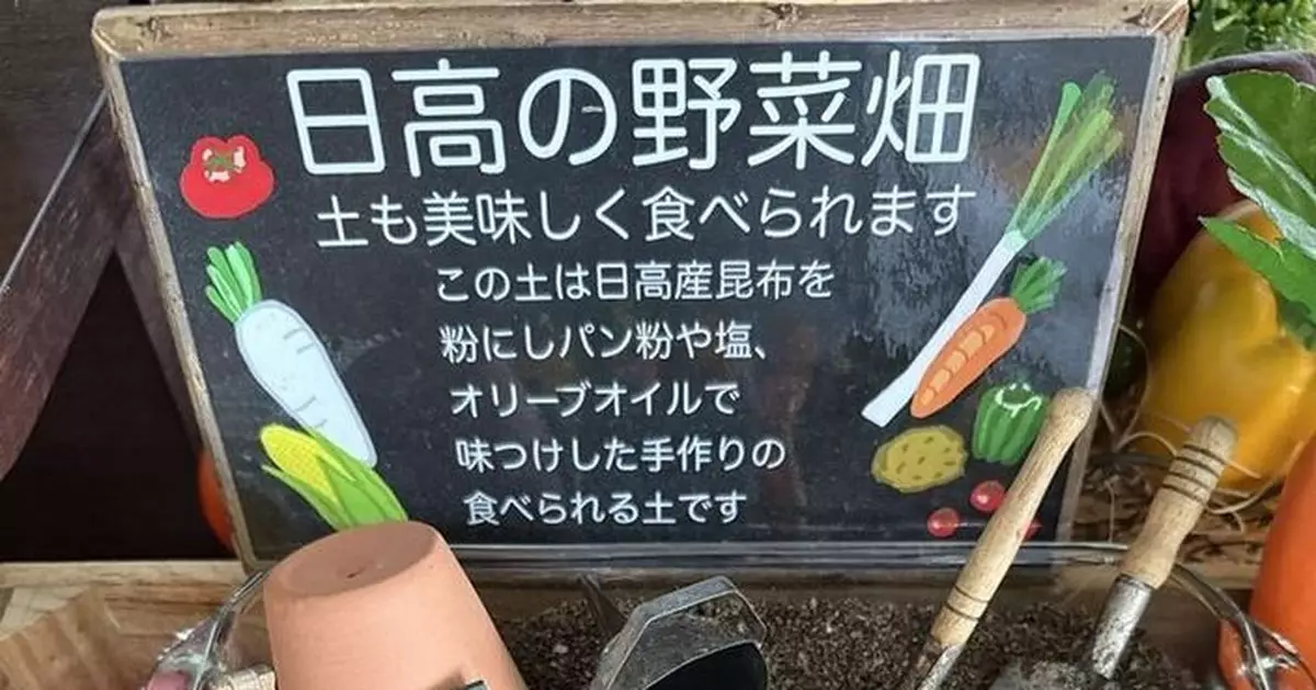 真吃土！北海道酒店推「可食用土壤」創意早餐引爆話題