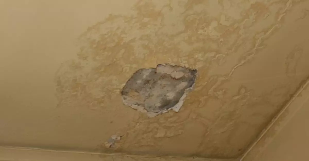 申訴專員展開全面調查　審研滲水辦處理滲水問題