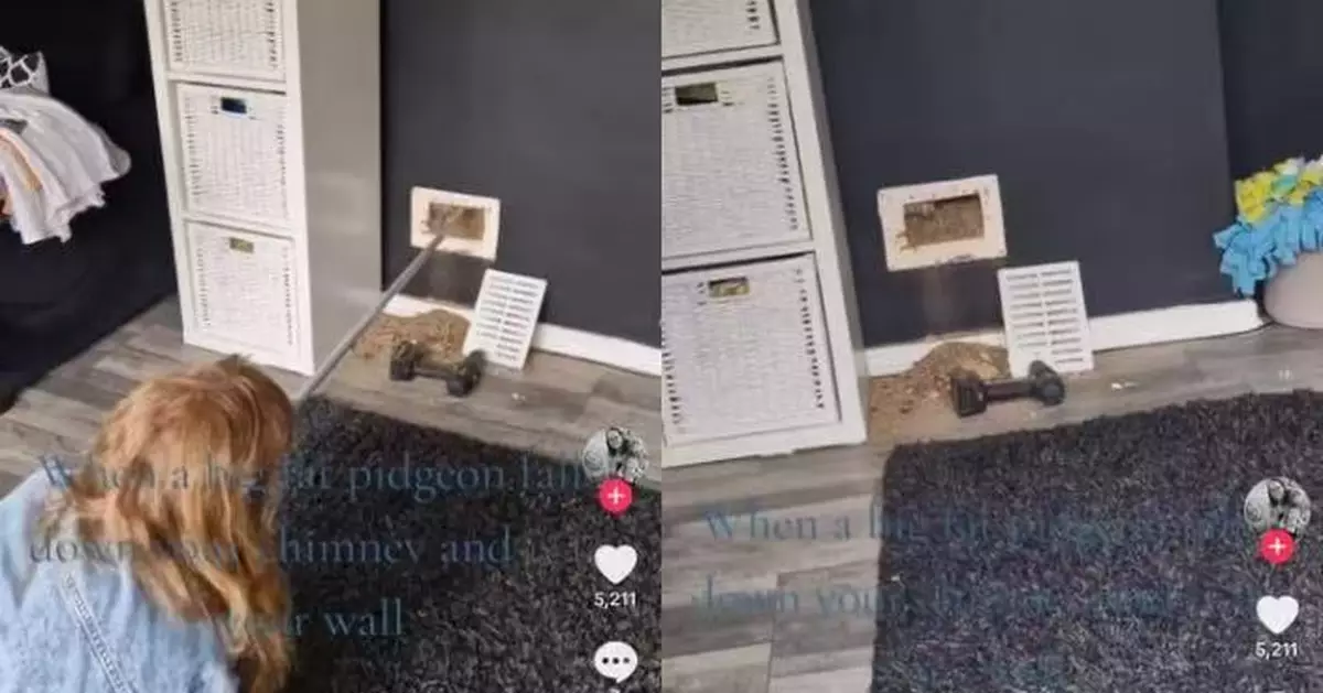 牆壁頻傳怪聲 英女打開通風口見「動物爪」伸出嚇到尖叫 真身係…