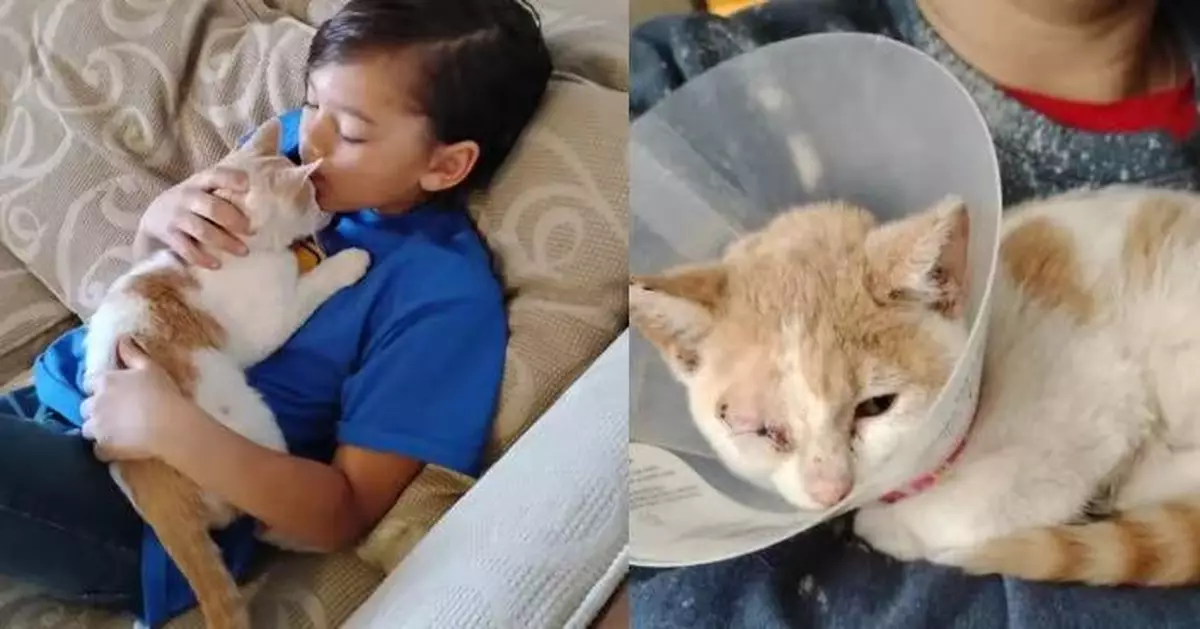 公園目擊熊孩子虐貓  美9歲男童以心愛滑板交換救回小貓