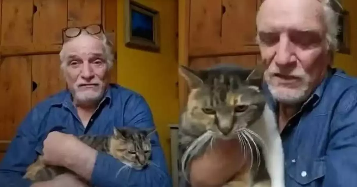 寵物貓走失零音訊 美飼主堅持更新晶片資料10年後奇蹟尋回