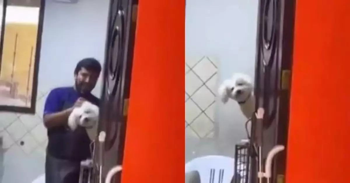 首到美容院沖涼 曾被遺棄狗狗緊張顫抖屢回頭確認主人是否仍在令人心酸