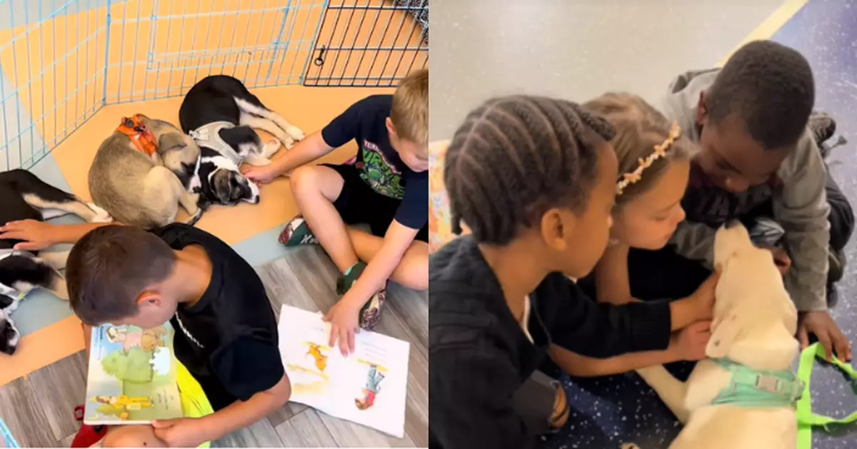 課堂變收容所！美教師帶領學生照顧寄養狗狗 3年助110幼犬尋得新家