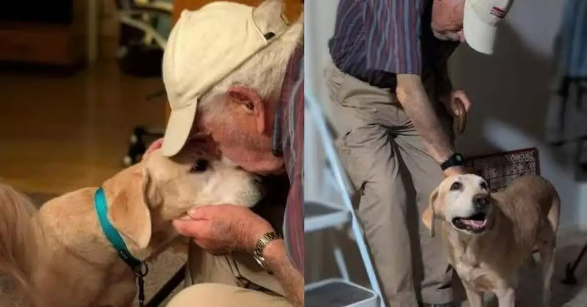 養7年愛犬意外走失 美9旬翁沿途撒「舊襪」奇跡尋回 重逢一刻超感人