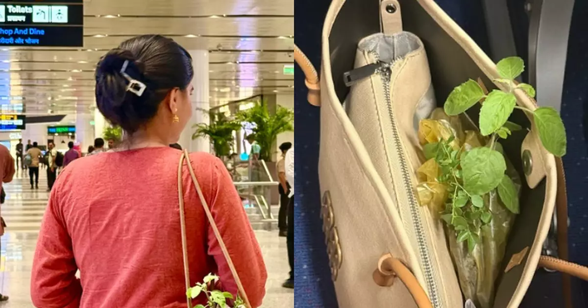 印度女帶「1植物」登機憂被攔 卻獲安檢員恭敬放行更小心守護